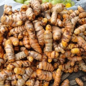 Selam Turmeric Seeds